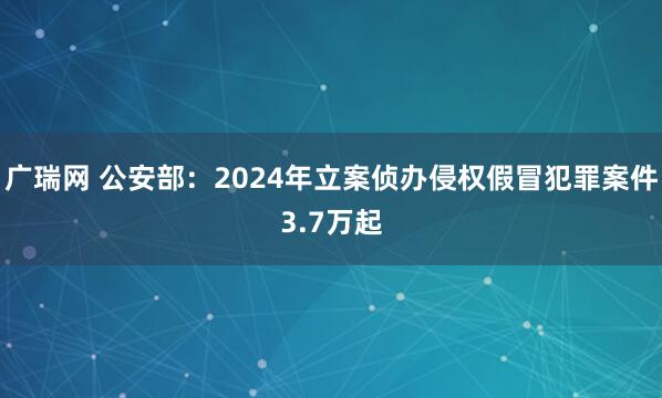 广瑞网 公安部：2024年立案侦办侵权假冒犯罪案件3.7万起