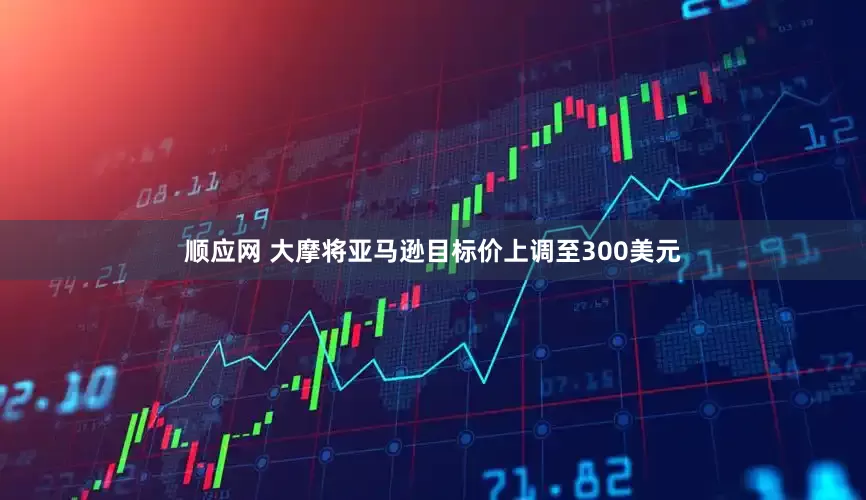顺应网 大摩将亚马逊目标价上调至300美元