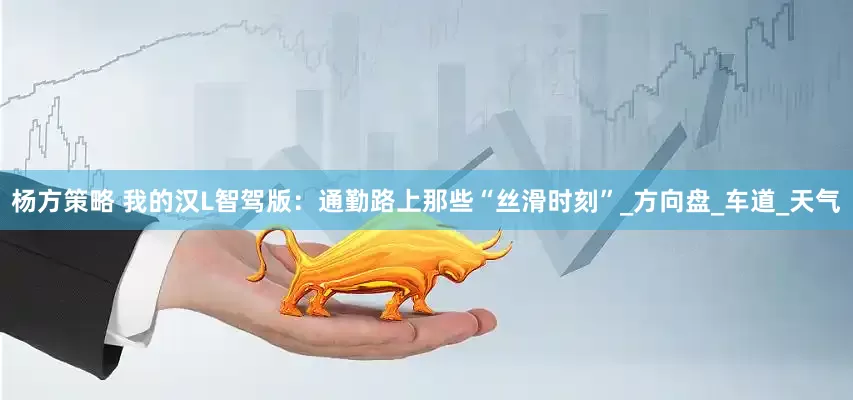 杨方策略 我的汉L智驾版：通勤路上那些“丝滑时刻”_方向盘_车道_天气