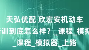 天弘优配 欣宏安机动车驾驶员培训到底怎么样？_课程_模拟器_上路